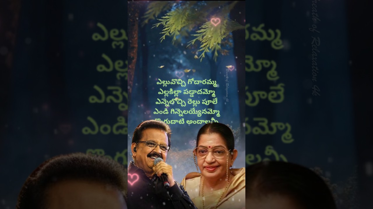 ఎల్లువొచ్చి గోదారమ్మ ఎల్లకిల్లా పడ్డాదమ్మో Song Lyrics | Valmiki Movie #shorts #telugusongs