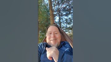 Netless Hammock Chair - Livin