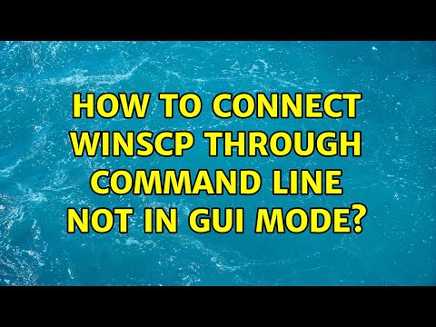 How to connect WinSCP through command line not in GUI mode?