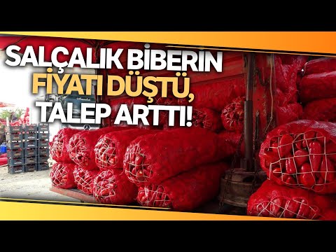 Salçalık Biberin Kilosu 12 TL’den 10 TL’ye Düştü