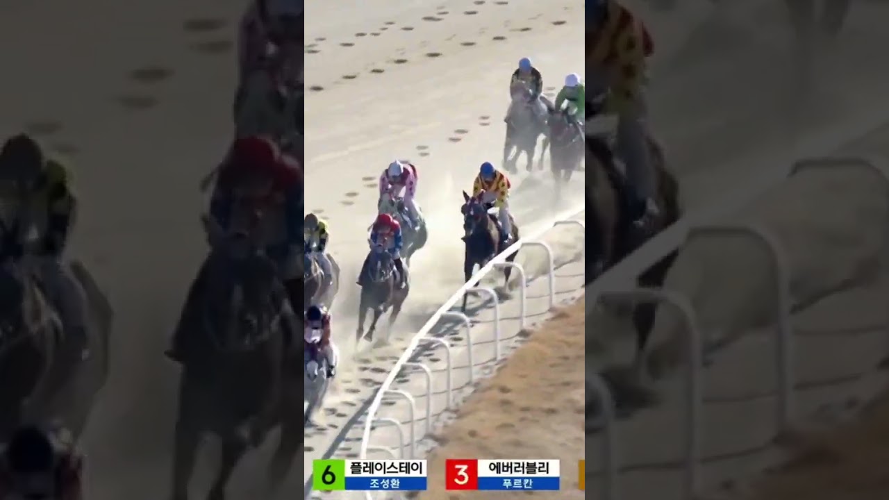 4번잘뛰네3-11죽었네