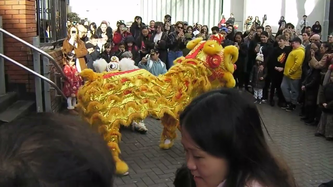 Lion Dance 2026 on Sanyo Xacti