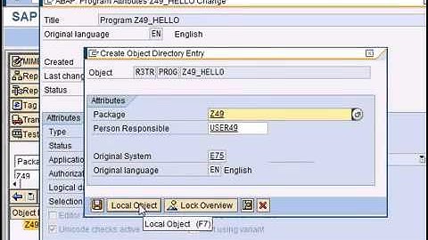 SAP ABAP   Your first ABAP program