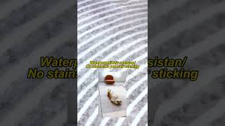 13443 HomeRug LowPrice OGL ENR EN VID SCTX28 YCR T3 26031301