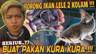 BUY 2 CATFISH PONDS FOR TURTLE FEED!!!