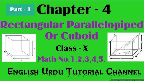Rectangular Parallelopiped or Cuboid Class 10 Wbbse| Math No.1,2,3,4,5 ||Chapter 4