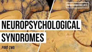 Neuropsychology Syndromes (Part Two) - (Video Nº15, Series #2)