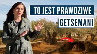 GETSEMANI – MIEJSCE, GDZIE JEZUS POCIŁ KRWIĄ! Israel z Aline po polsku