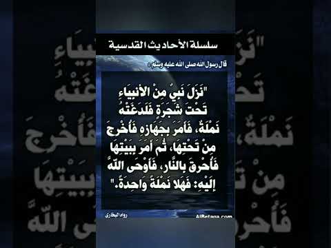 سلسلة الاحاديث القدسيه