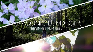 Beginner Film Reel: Testing out the Panasonic Lumix GH5 | May 2023