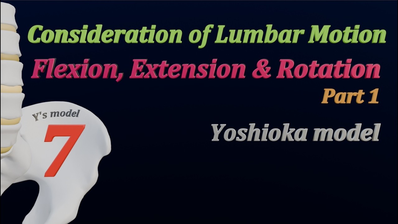 【腰椎屈伸と回旋の関係①】Consideration of Lumbar Motion Flexion, Extension ...