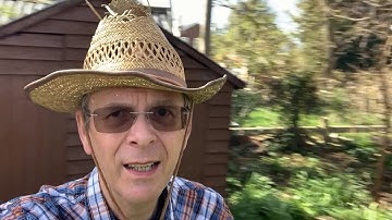 Making a Mega Sparrow Nesting Box