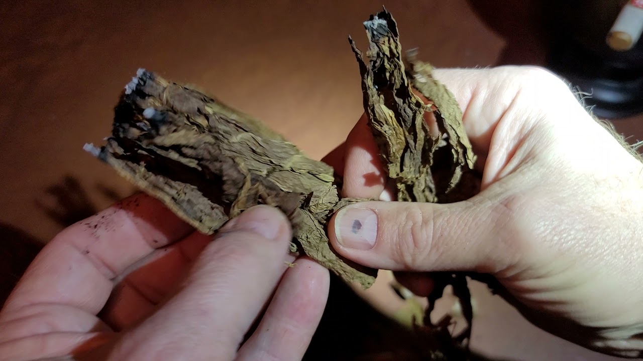 Real Cuban?  Montecristo Edicion Limitada 2003 vs. Fonseca Habanos Review and Cigar Dissection