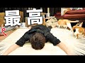 あつし家のリビングが生まれ変わりました。