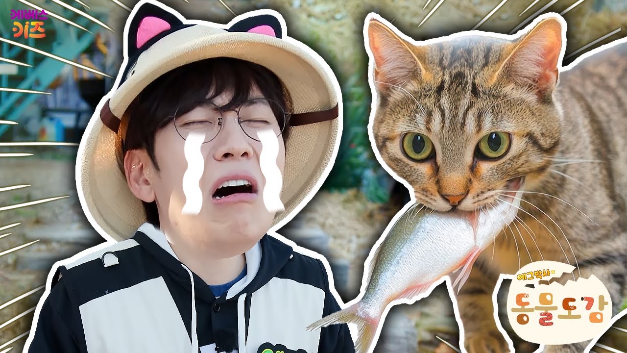 고양이가 좋아하는 간식 만들기!ㅣ고양이 최애 음식은?ㅣ에그박사의 동물 도감ㅣKBS 250107 방송