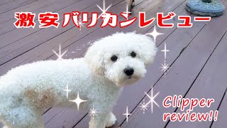 【レビュー】激安犬用バリカンでセルフカットに挑戦！Dog Clipper Review【トイプードルのルナ】【愛犬との日常】【アメリカ生活】【Poodle】【dog】