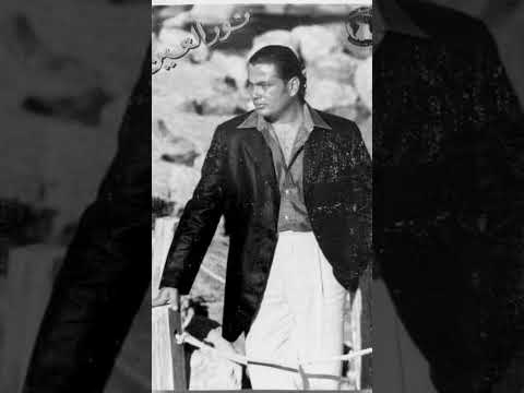 عمرو دياب نور العين 90