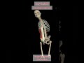 Learning anatomy | Guess the Muscle Name and Action#anatomy #muscles #Physiotherapy