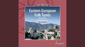 Dem Trisker Rebn’s Khosid