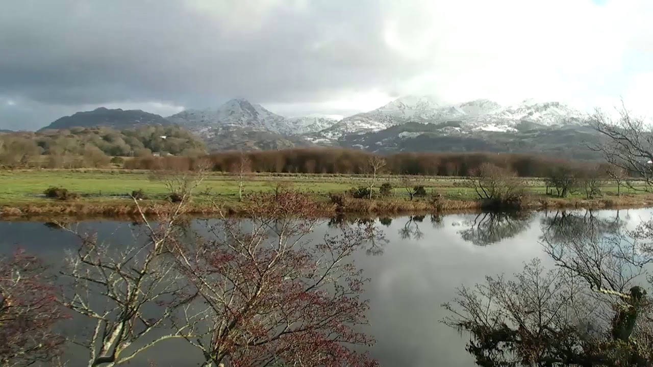 Glaslyn Wildlife Live Stream