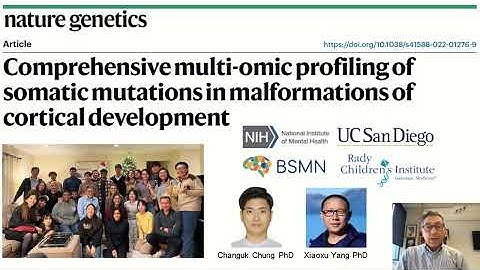 NG: Comprehensive multi-omic profiling of somatic mutations in malformations of cortical development