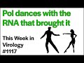 Twiv 1117 pol dances with the rna that brought it