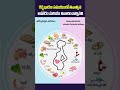 Foods To Eat And TO Avoid In Pregnancy | Pregnancy Diet Tips #pregnancytips #pregnancydiet #shorts
