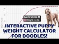 Predicting Adult Weight of Doodle Puppies: Interactive Growth Chart and Calculator