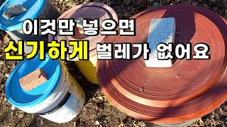 음식물 쓰레기통 벌레들 이것만 넣으면 신기하게 벌레가 없어요