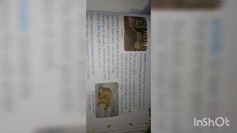 CLASS 4 EVS CH 12 WHERE ANIMALS LIVE PART 1