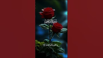 ماتيسر من سورة إبراهيم أحمد النفيس