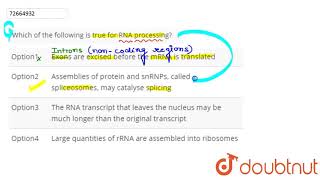 Which Of The Following Is True For Rna Processing? | 12 | Gene, Its  Expression And Regulation | … - Youtube Which Of The Following Is True For Rna Processing? | 12 | Gene, Its  Expression And Regulation | … - Youtube