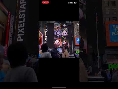 푸바오 뉴욕 타임스퀘어 광고 영상이 화제입니다