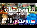 【シンガポール】2026年最新!2泊3日モデルコース&カウントダウン完全攻略!(保存版)
