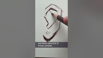 Everything You Wanted To Know About Drawing Ears (In Under a Minute)