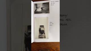 The Archive of Forgotten Cats -every cat deserves to be remembered. #catlife #catshorts #catvideo