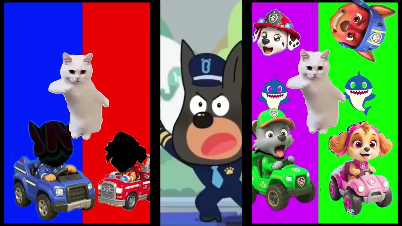 Wrong eyes👀 NEW EPISODES/ Sheriff Labrador x Rocky & BabyBoss Puzzle Wrong HeadsEYE PUZZLE WORLD
