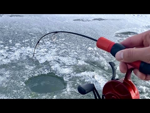 Видео: В ПРОЗРАЧНОЙ ЛУНКЕ...ХАПНУЛО! Кабан и первый лёд, ХИЩНИК ПОШЁЛ! Зимняя рыбалка 2023