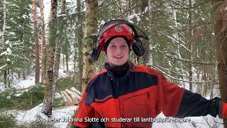 Farmer Time Finland: Skogsarbete med motorsåg