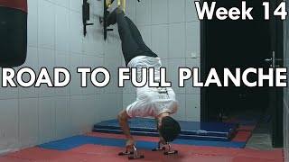 Trying to Maintain the Level While Injured | Handstand Push-up Negatives & Wrist Strengthening