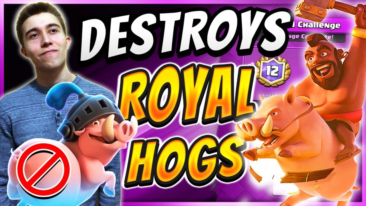 SirTagCR: WORKS IN EVERY META! BEST ROYAL HOGS DECK! — Clash Royale -  RoyaleAPI