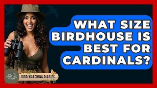 What Size Birdhouse Is Best For Cardinals? - Bird Watching Diaries