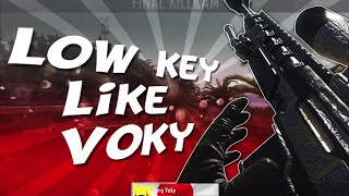 Low Key Like Voky