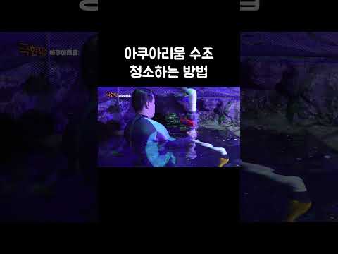 <strong>아쿠아리움</strong> 수조 청소하는 방법 #shorts