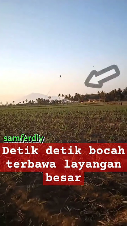 bocah terbawa layangan #shorts #viral #layangan