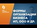 Формы организации бизнеса это. Какие преимущества и недостатки в ИП и ООО