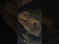 寝起きです。おはよう