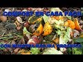 Como hacer compost fácil con cáscaras de frutas y verduras de tu casa