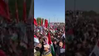 بالفديو استمرار توافد سكان العاصمة بغداد لاحياء يوم القدس الشريف في منطقة شارع فلسطين