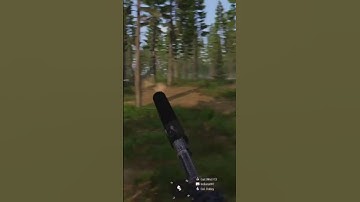 Accidental Ukrainian Flag in Arma 3